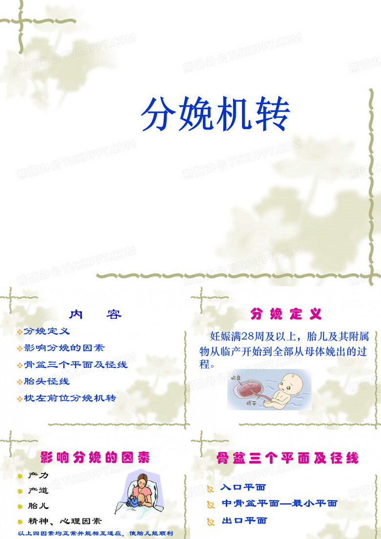 分娩机制