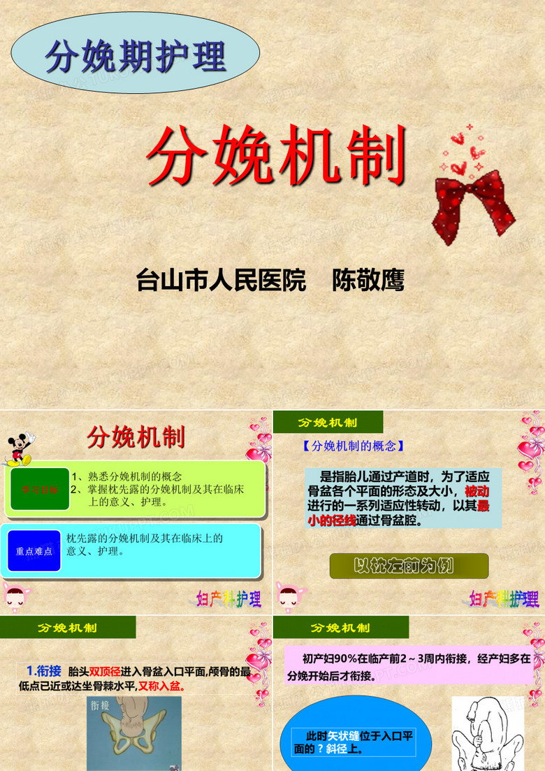 分娩机制1