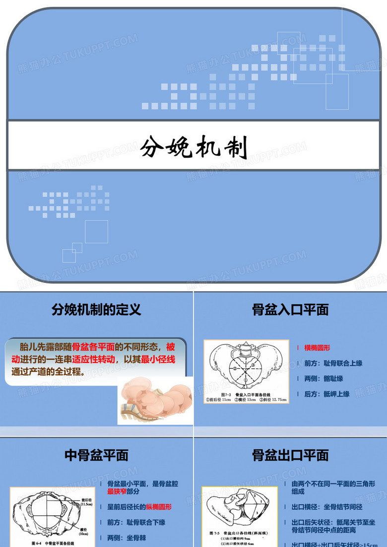 分娩机制 PPT