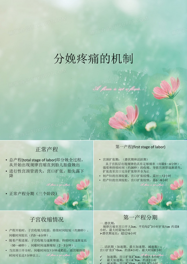 分娩疼痛的机制