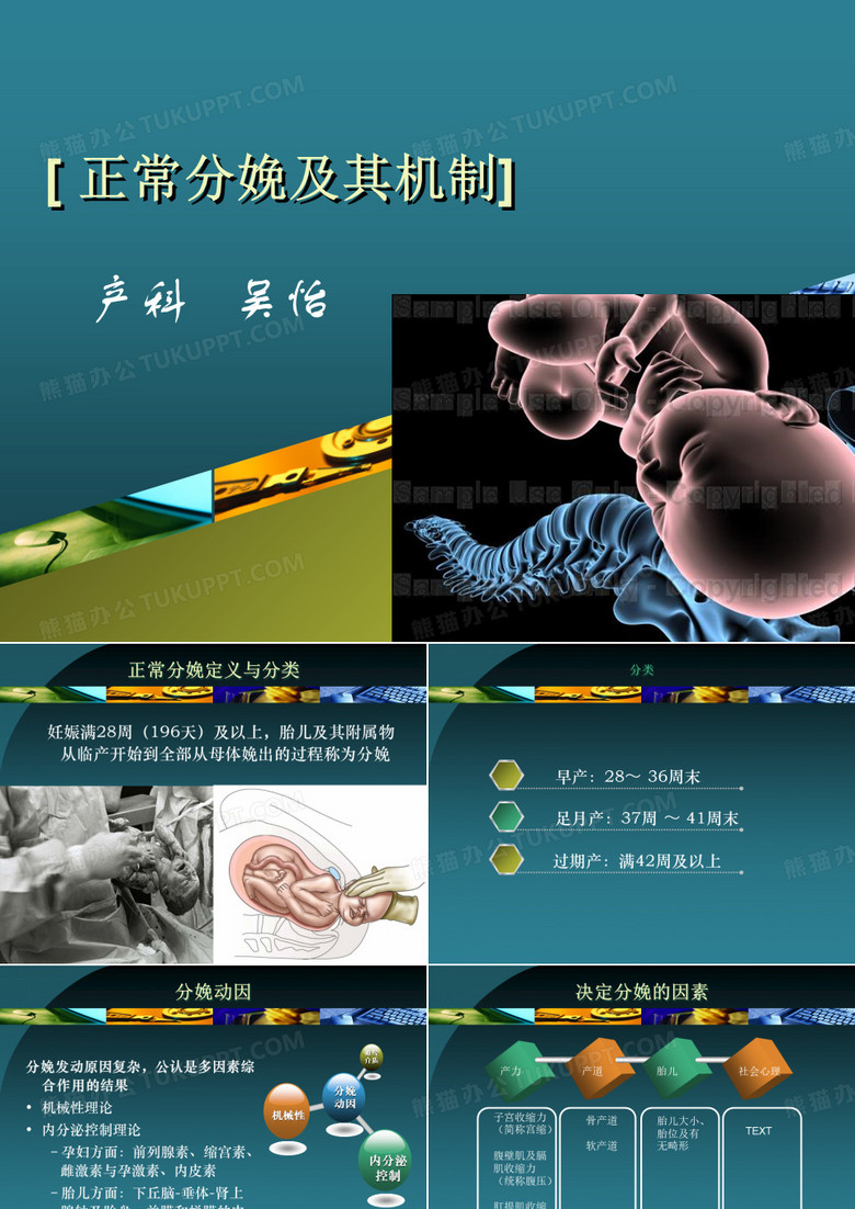 正常分娩机制