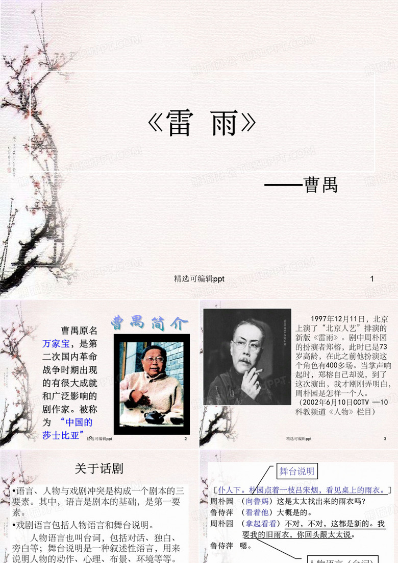 《雷雨(节选)》精品课件