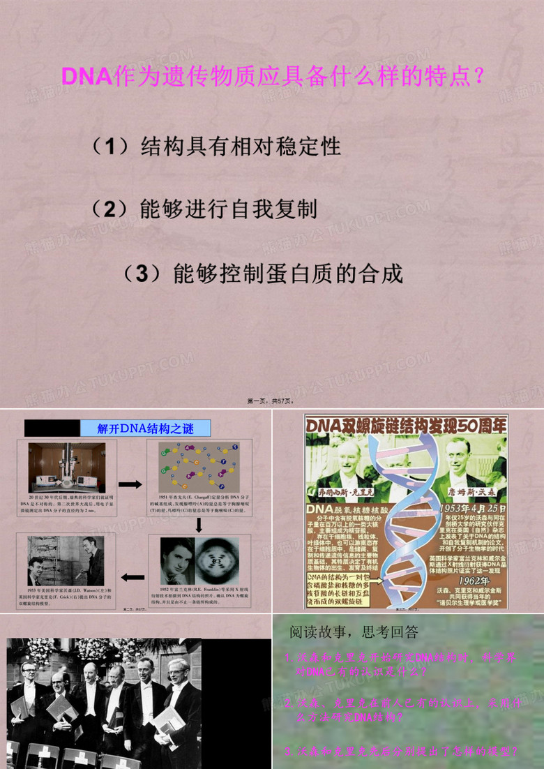 DNA分子结构