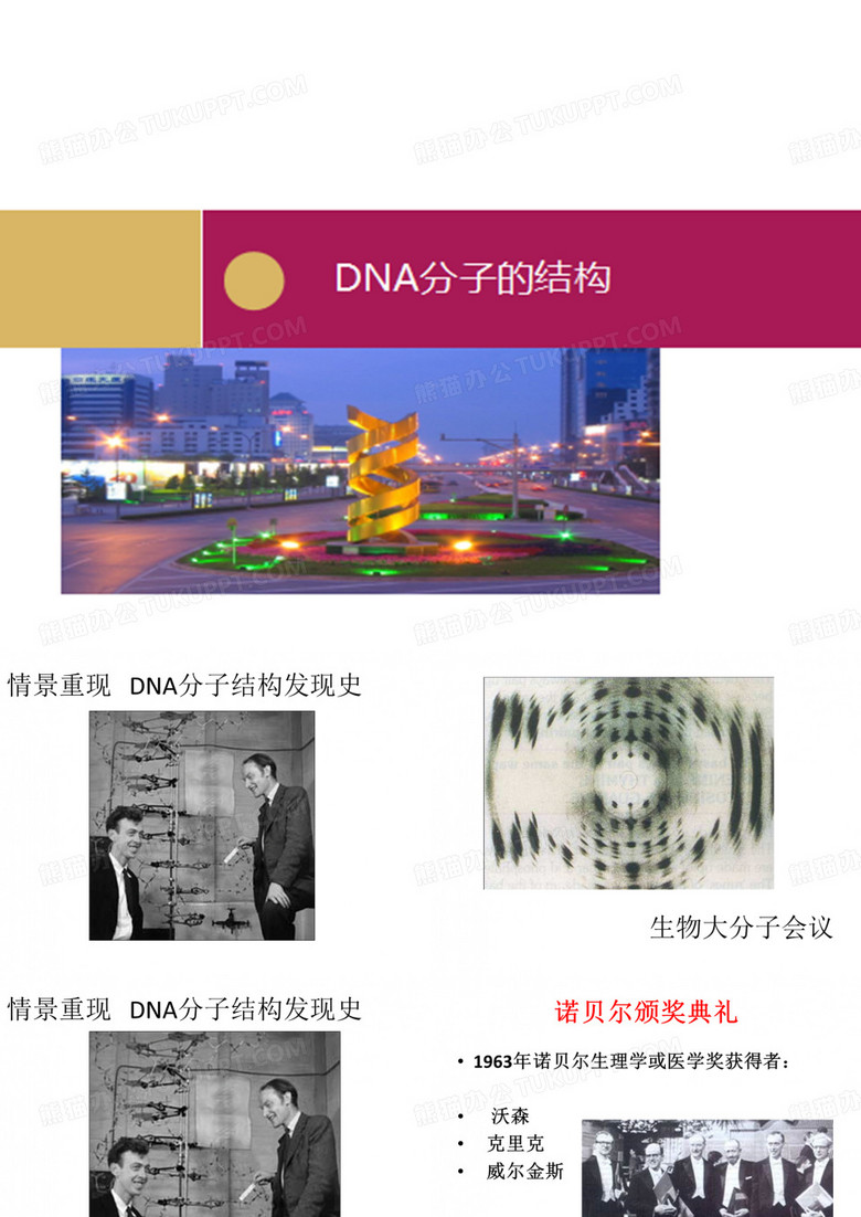 DNA分子的结构