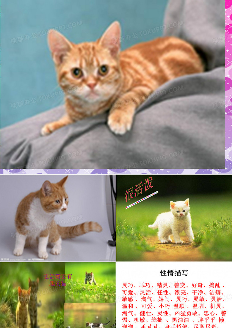 故事：小猫钓鱼课件
