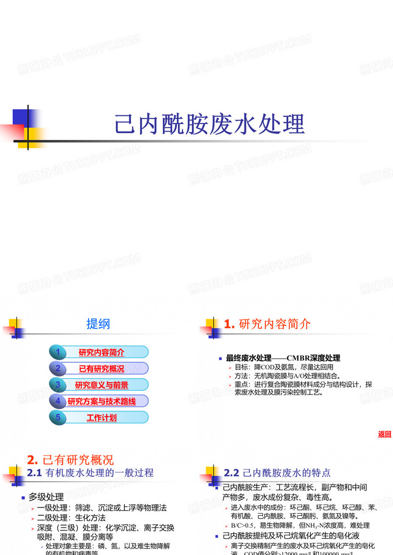 己内酰胺废水处理