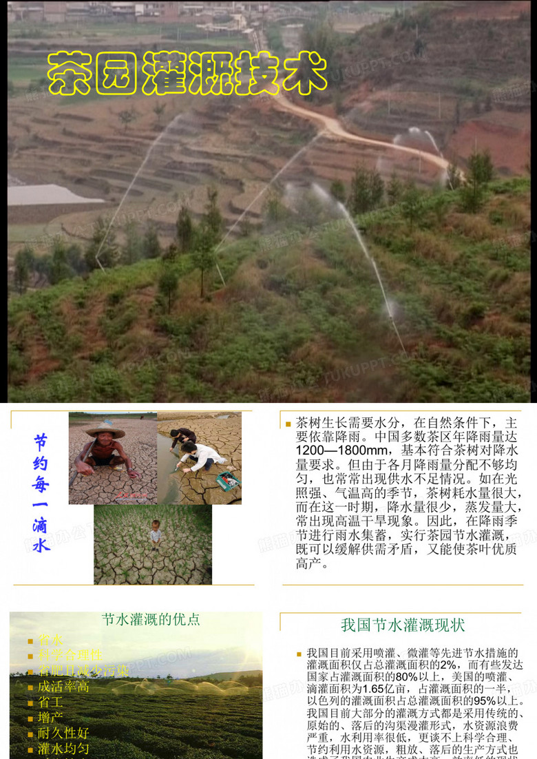茶园灌溉