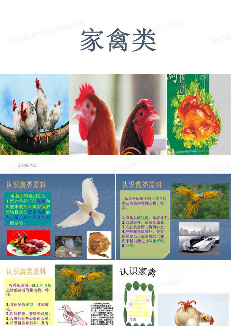 家禽类