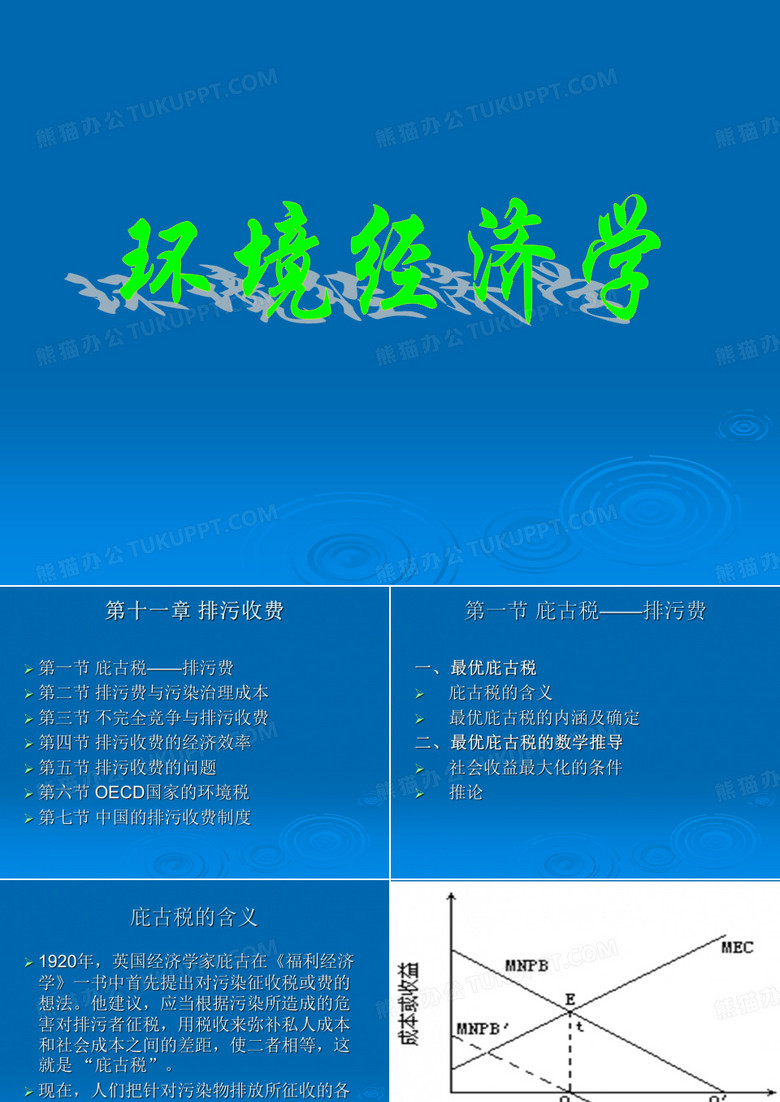 环境经济学_第十一章