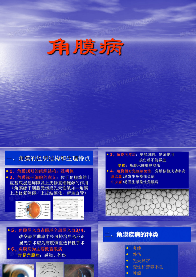 眼科学：角膜病