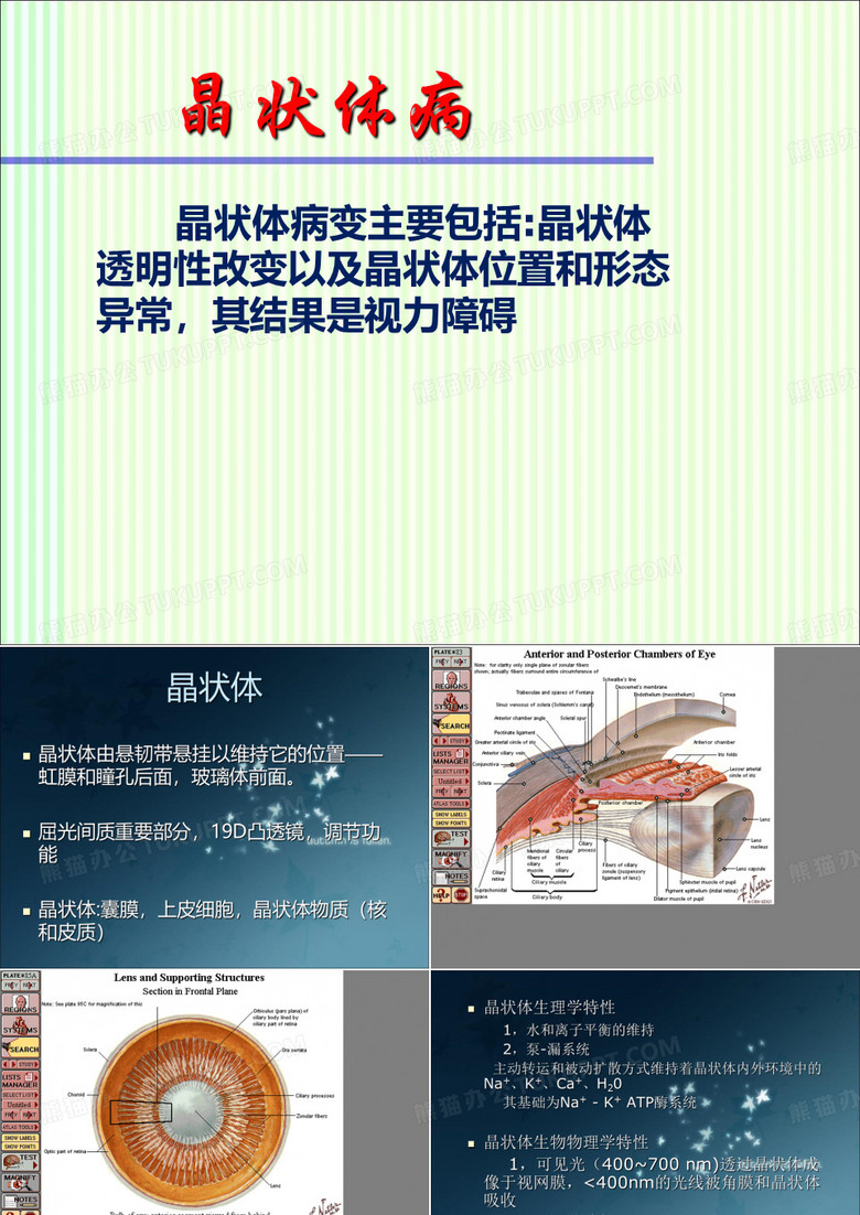 眼科学：晶状体病