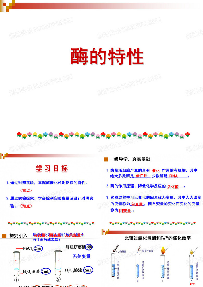 酶的特性