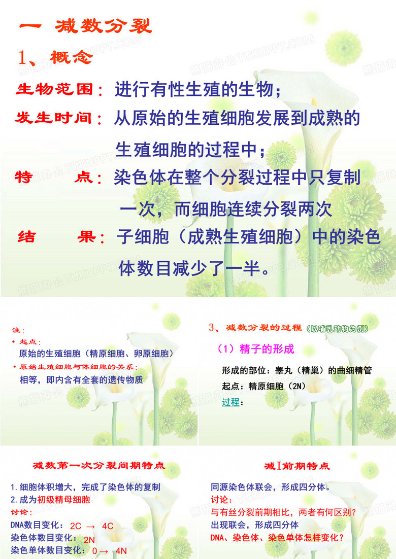 高中生物课件