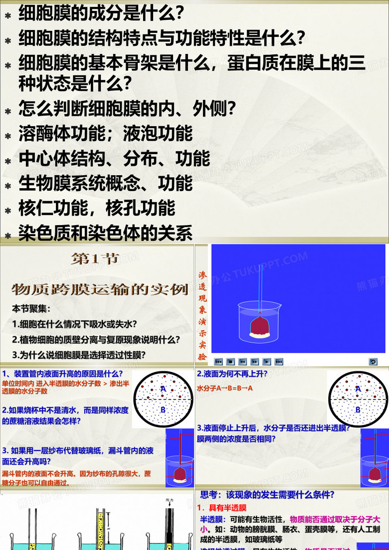 高中生物课件