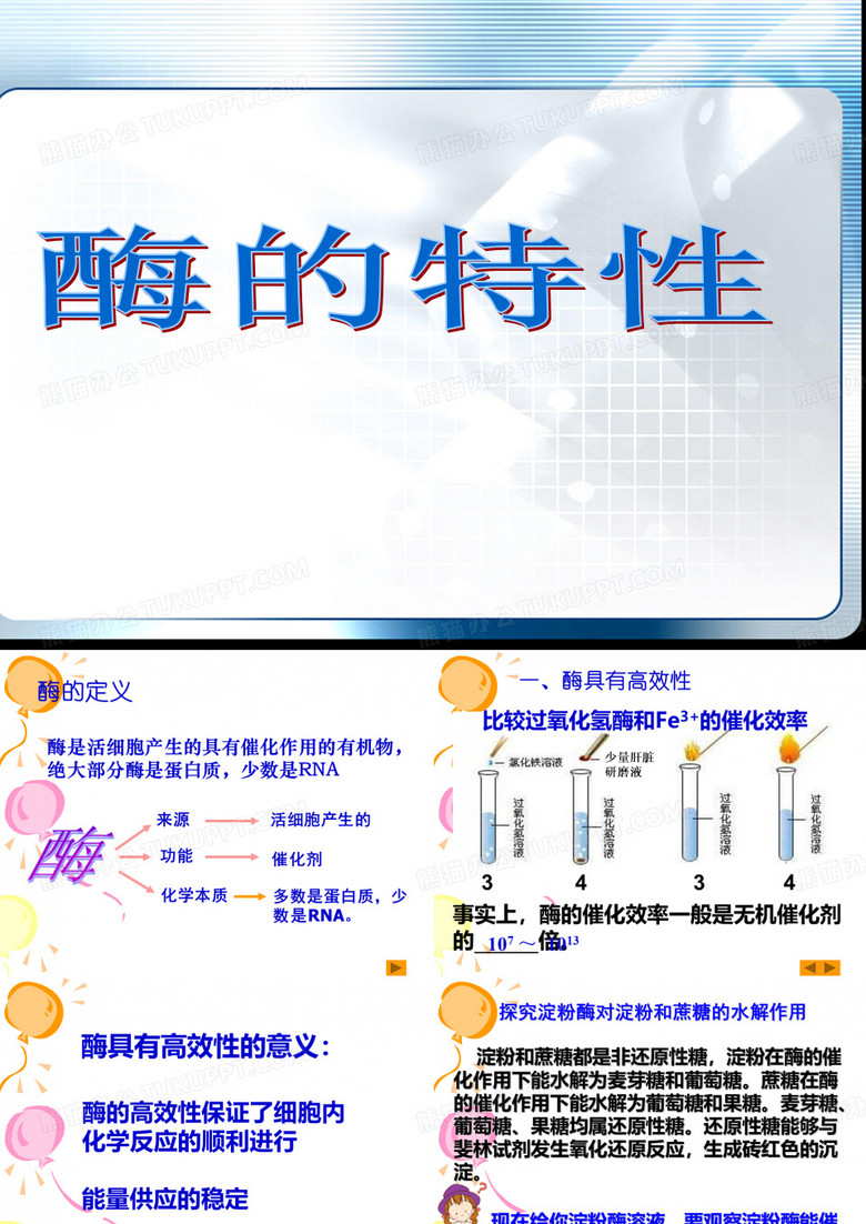 高中生物课件