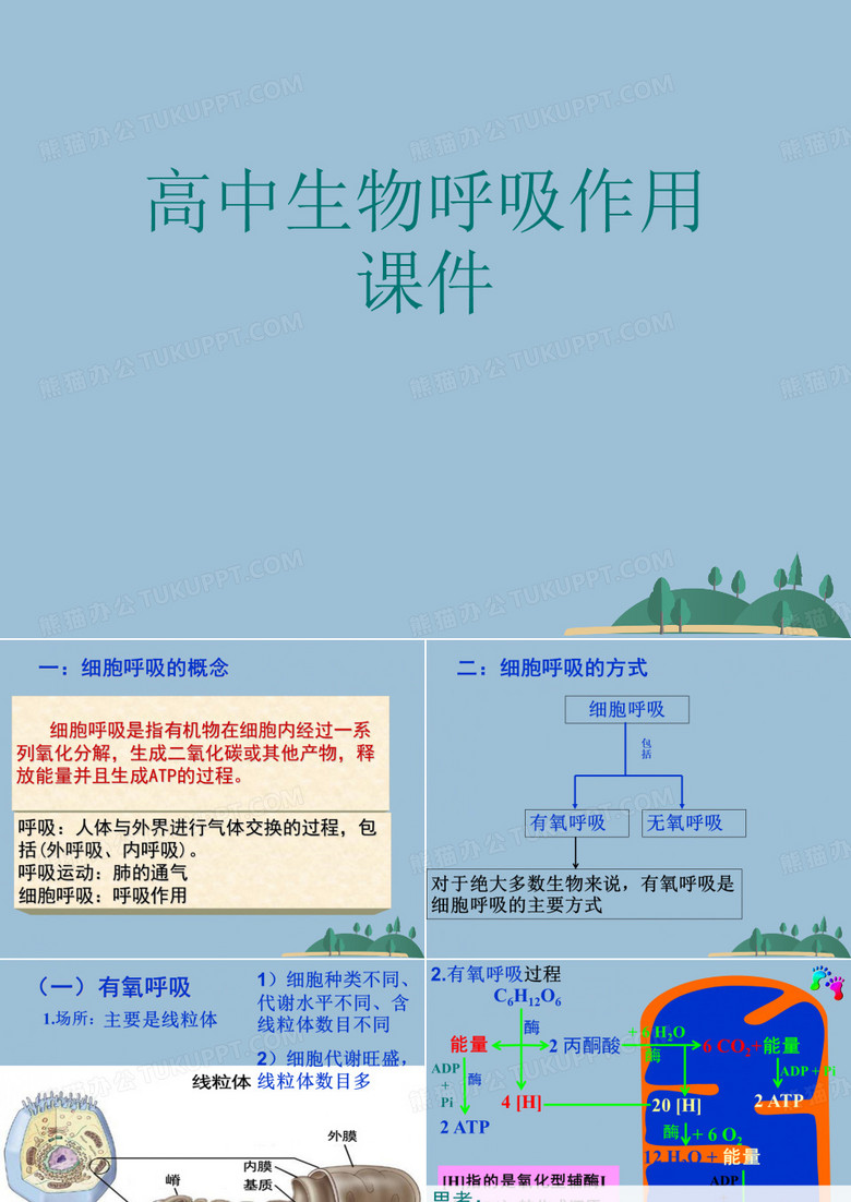 高中生物呼吸作用课件