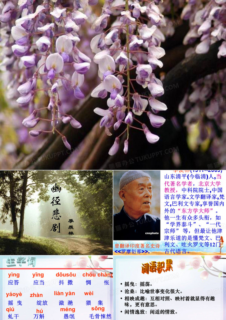 幽径悲剧