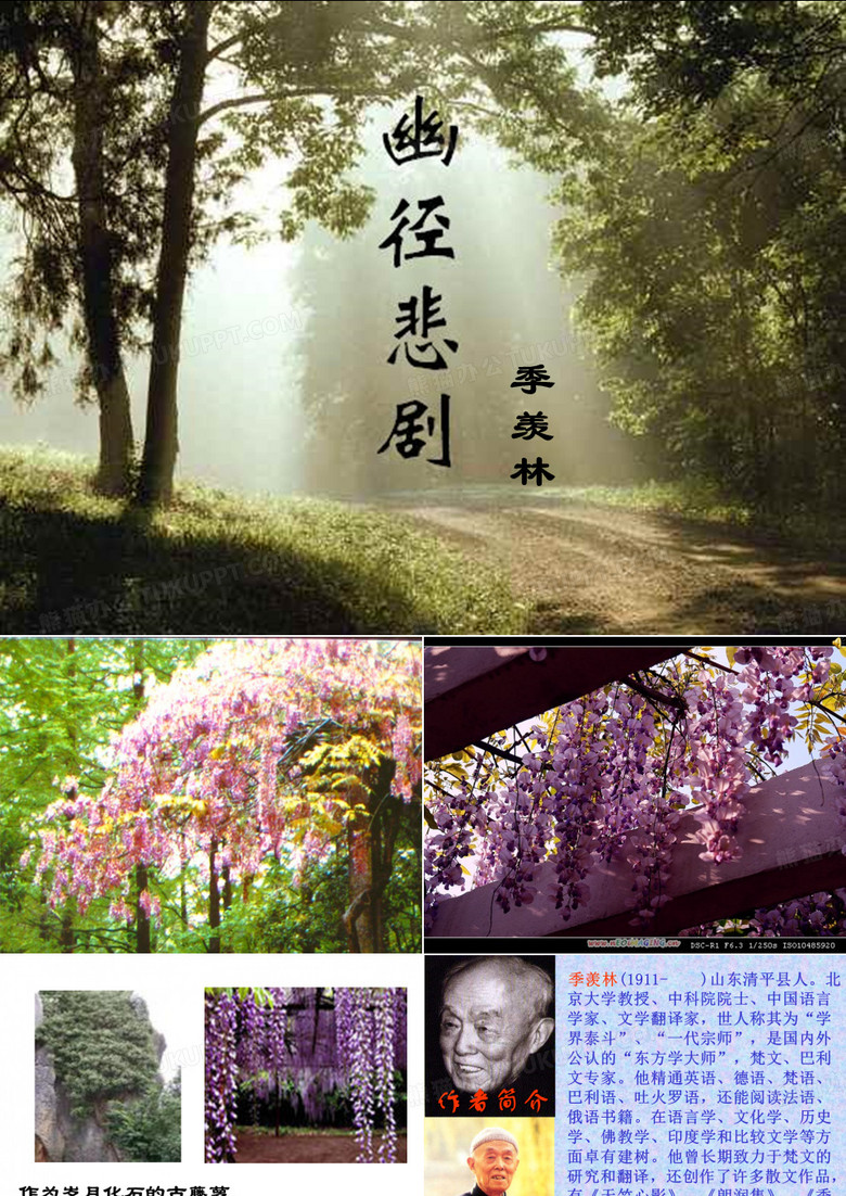 《幽径悲剧》公开课