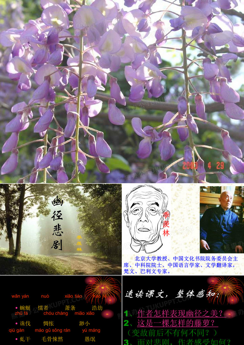 幽径悲剧课件