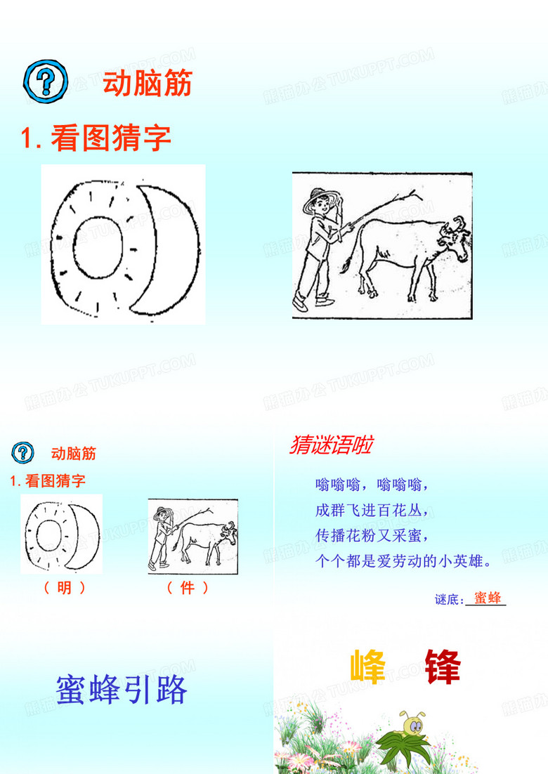 蜜蜂引路 (1)