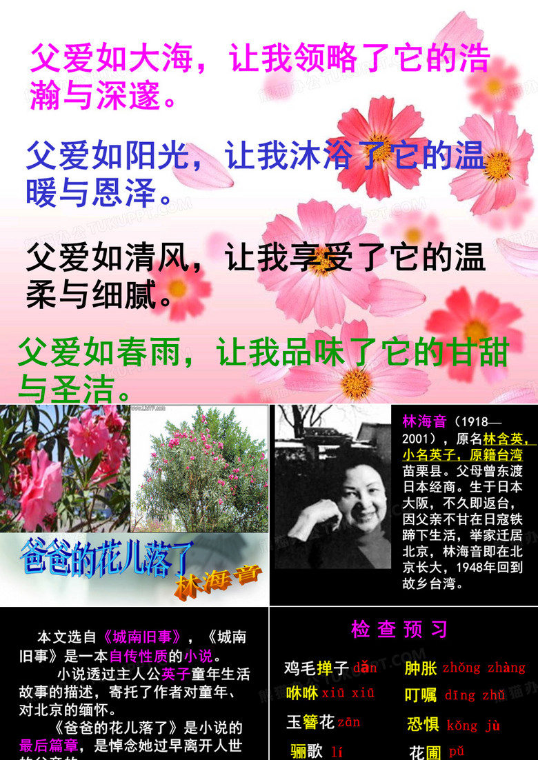 爸爸的花儿落了