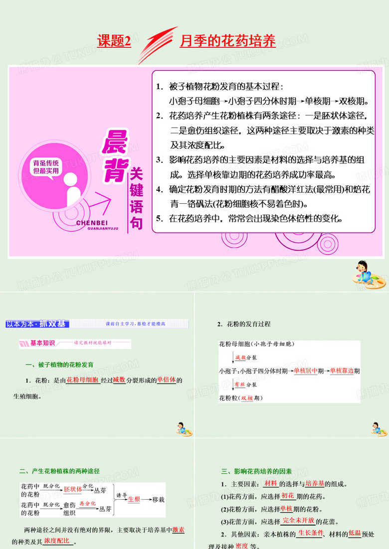 高中生物专题3课题2月季花的花药培养课件新人教版选修1