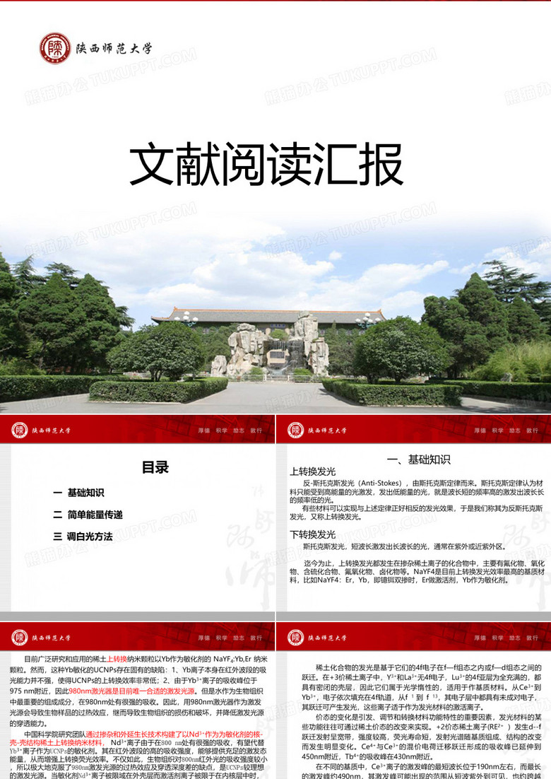 文献阅读汇报、