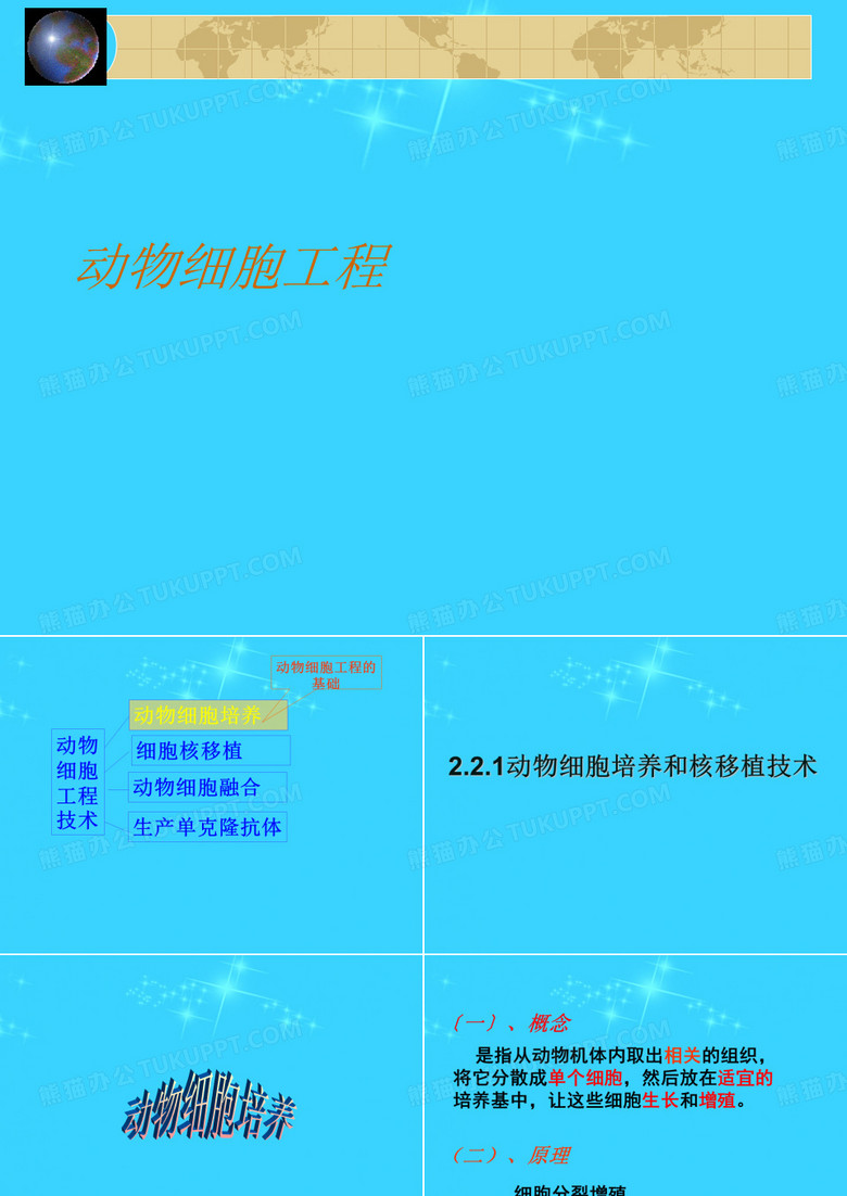 动物细胞工程