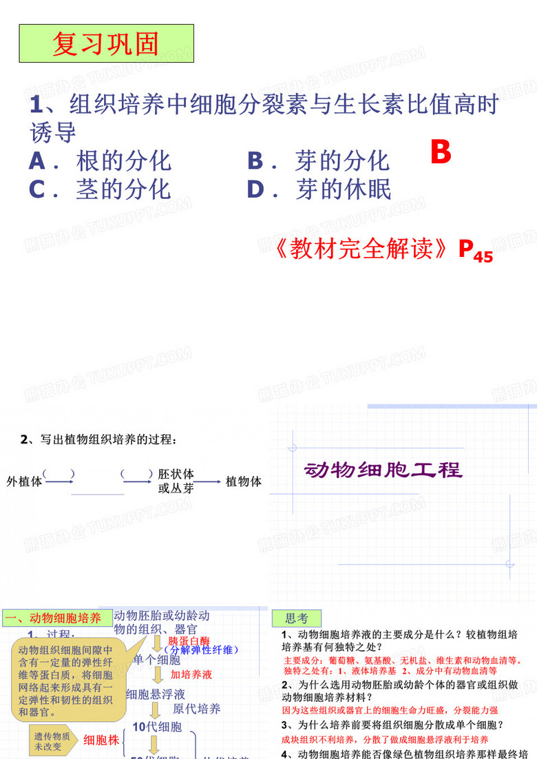 动物细胞工程