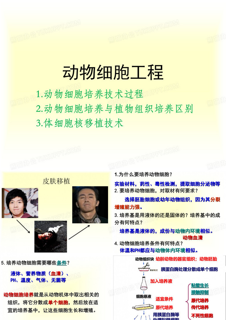 动物细胞工程