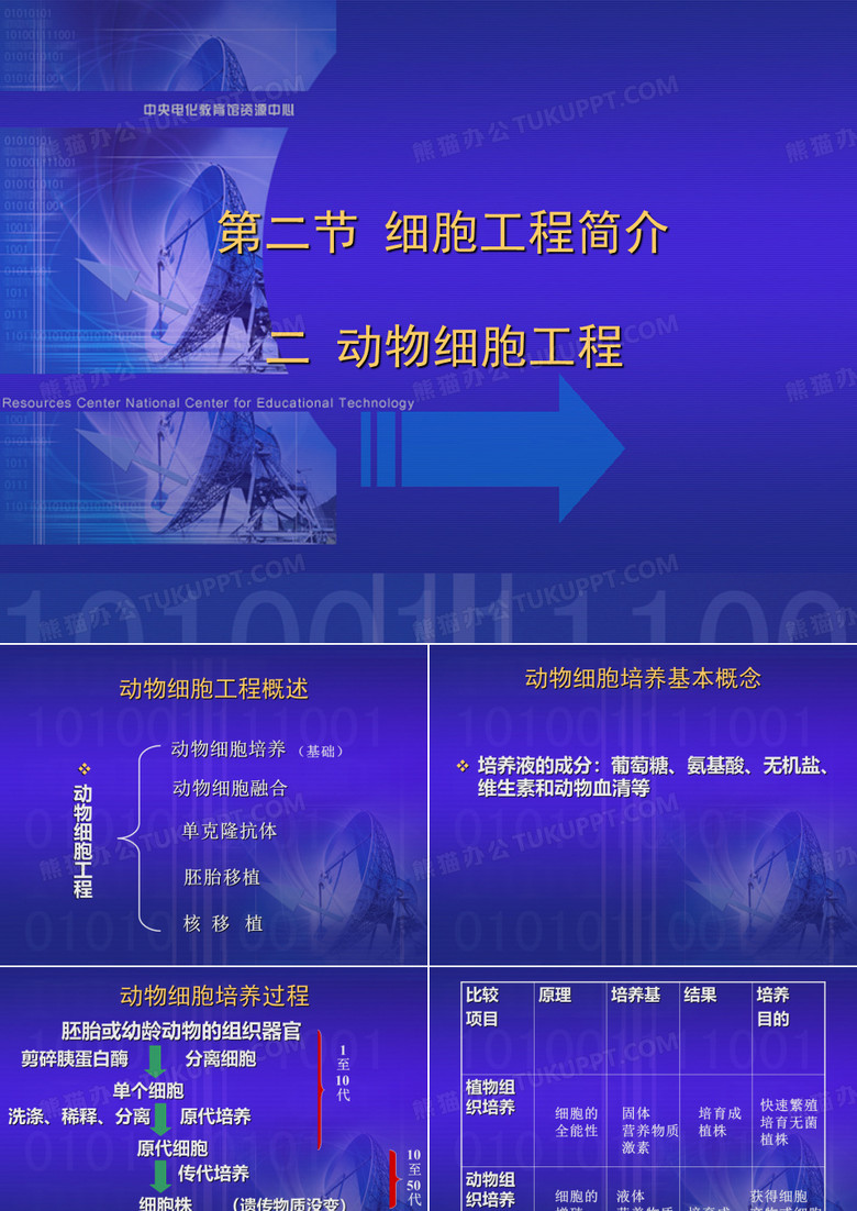 动物细胞工程