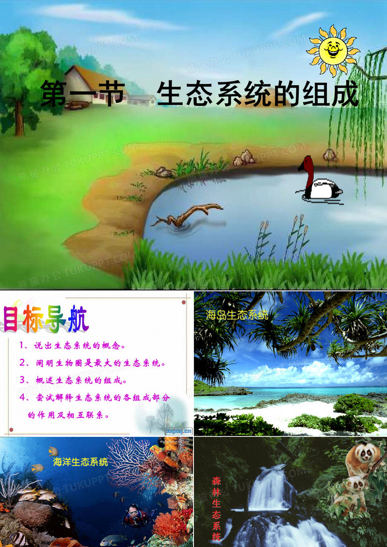 生态系统的组成
