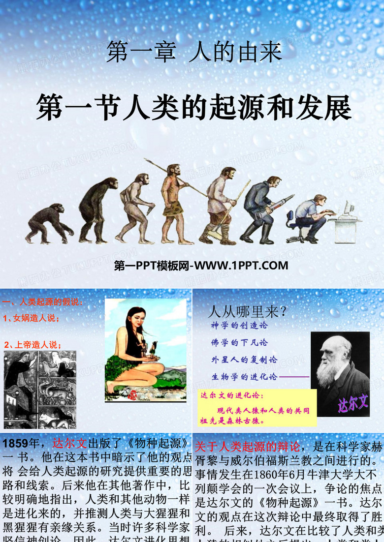 人类的起源和发展