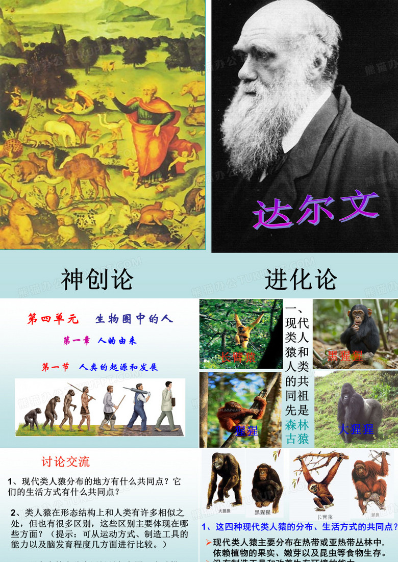 人类的起源和发展