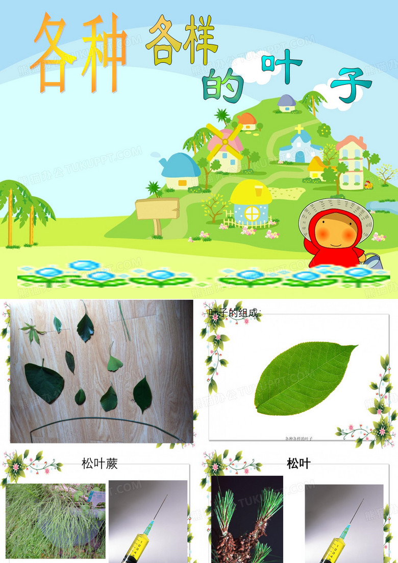 各种各样的叶子