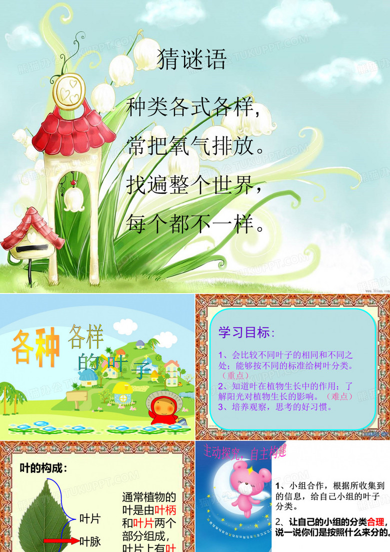 各种各样的叶子 ()