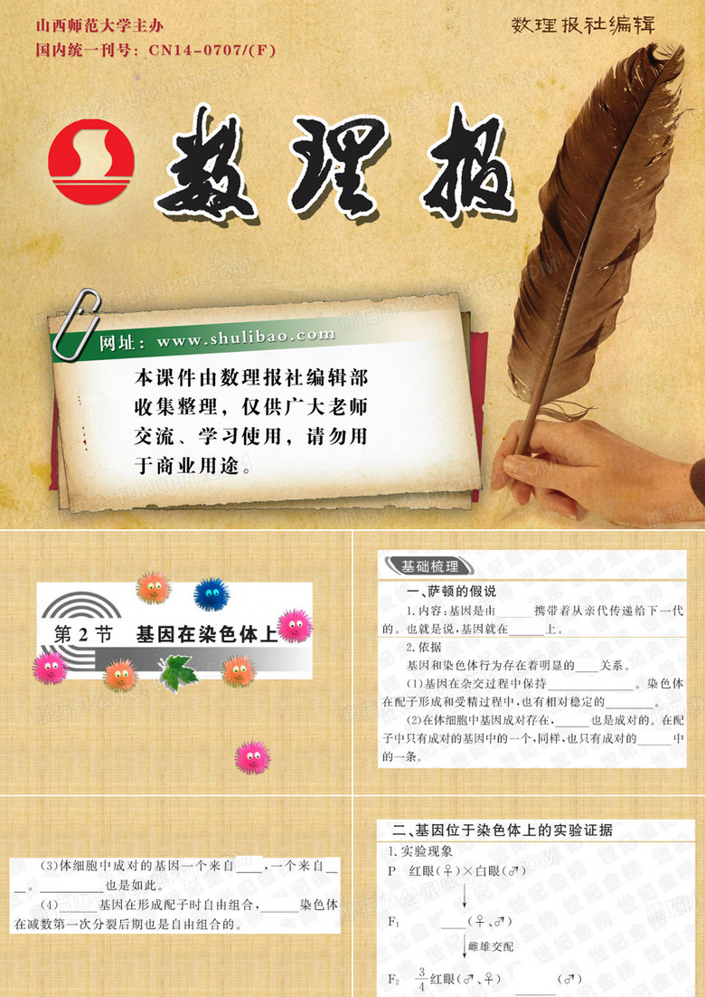 基因在染色体上