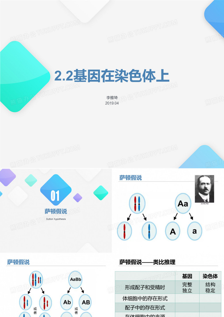 基因在染色体上