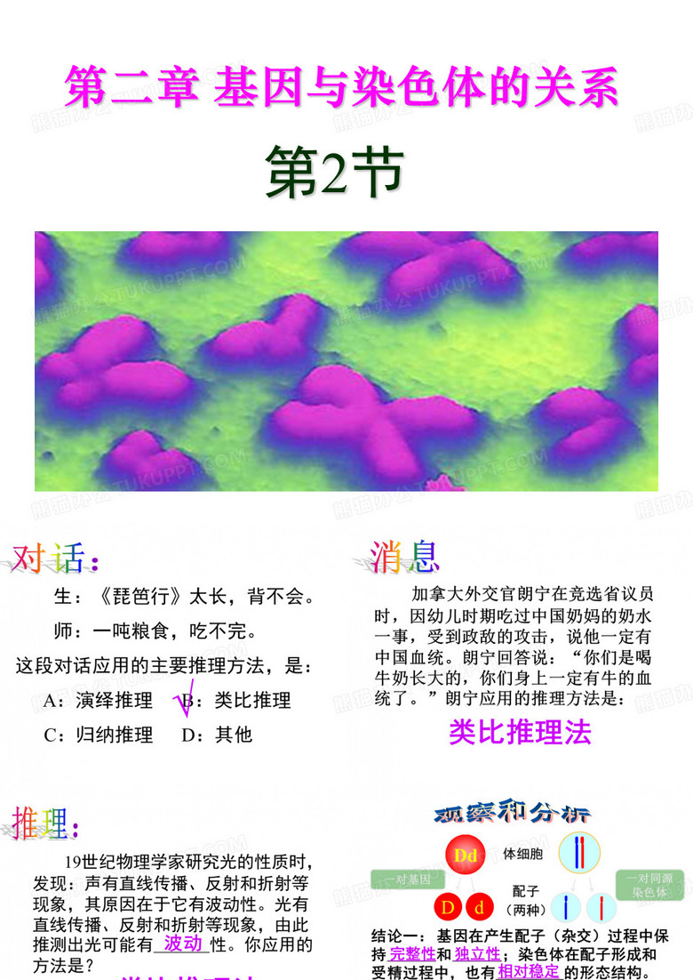 基因在染色体上