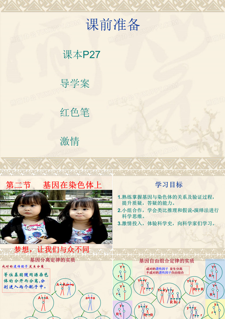 基因在染色体上