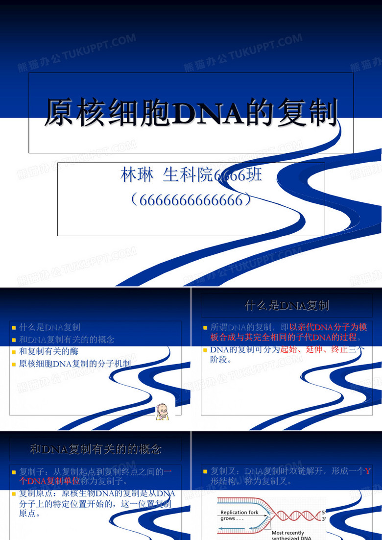 原核细胞dna的复制