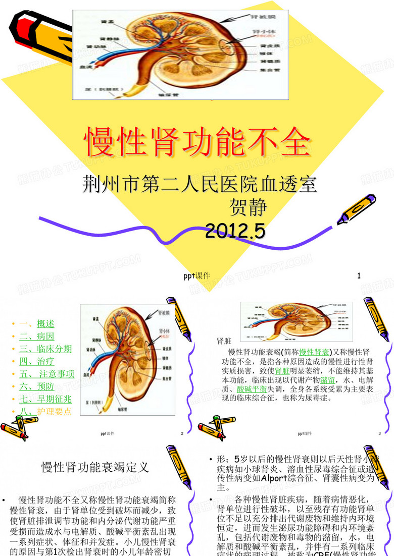 慢性肾功能不全  ppt课件