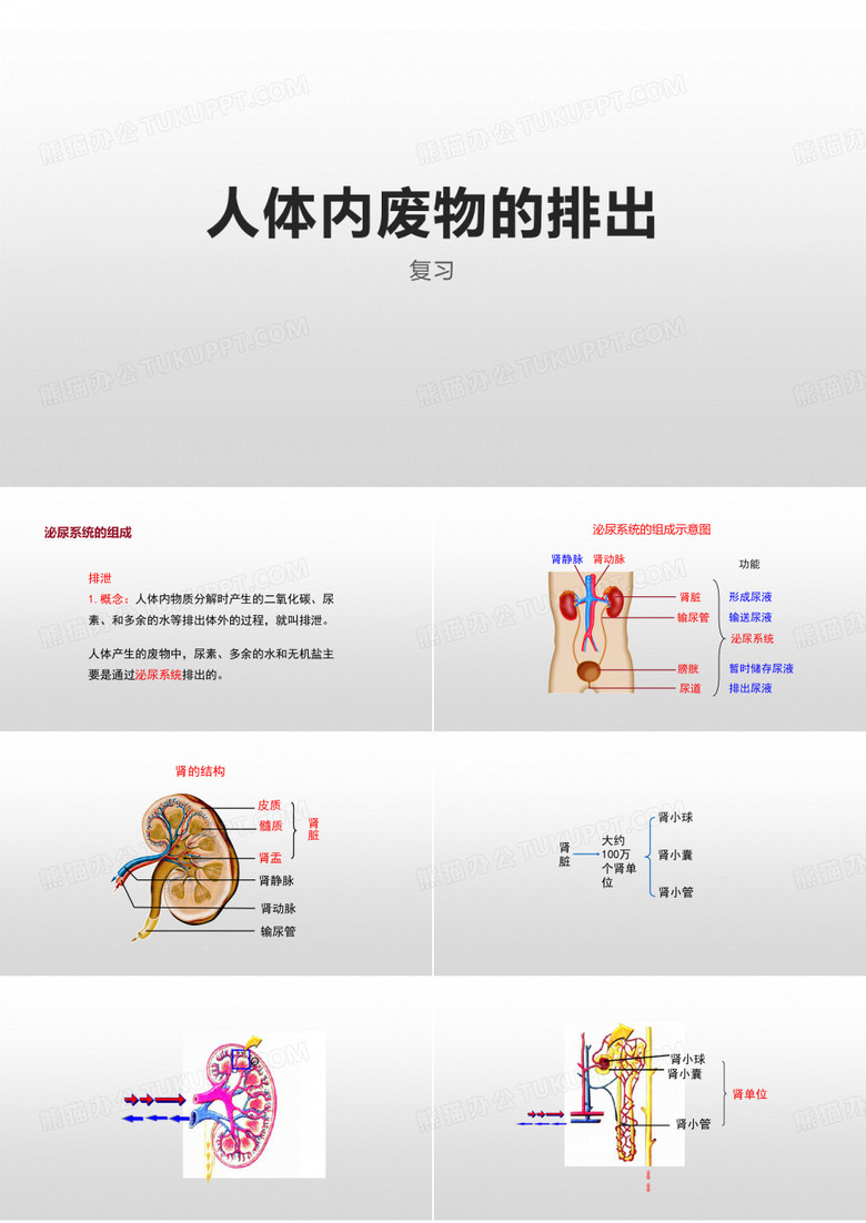 人体内废物的排出