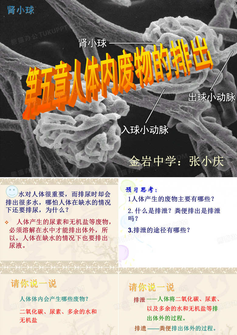 人体内废物的排出