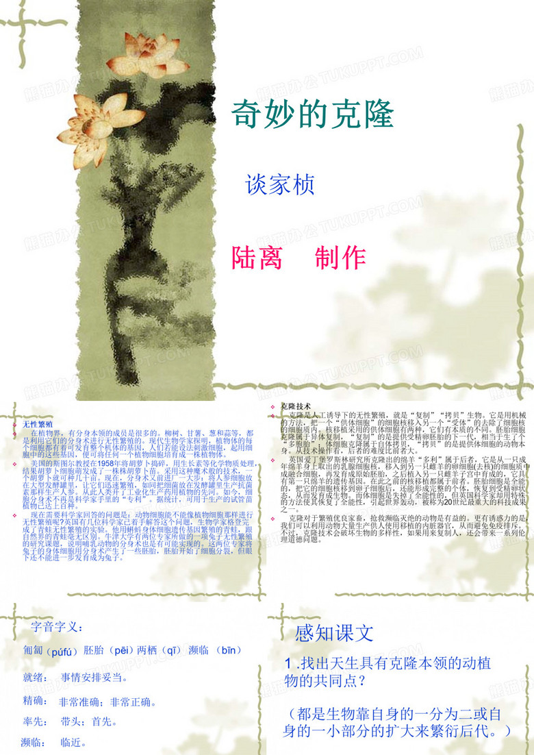 奇妙的克隆