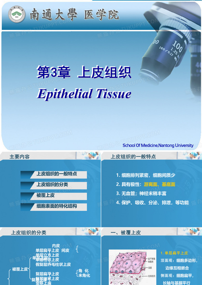 3上皮组织