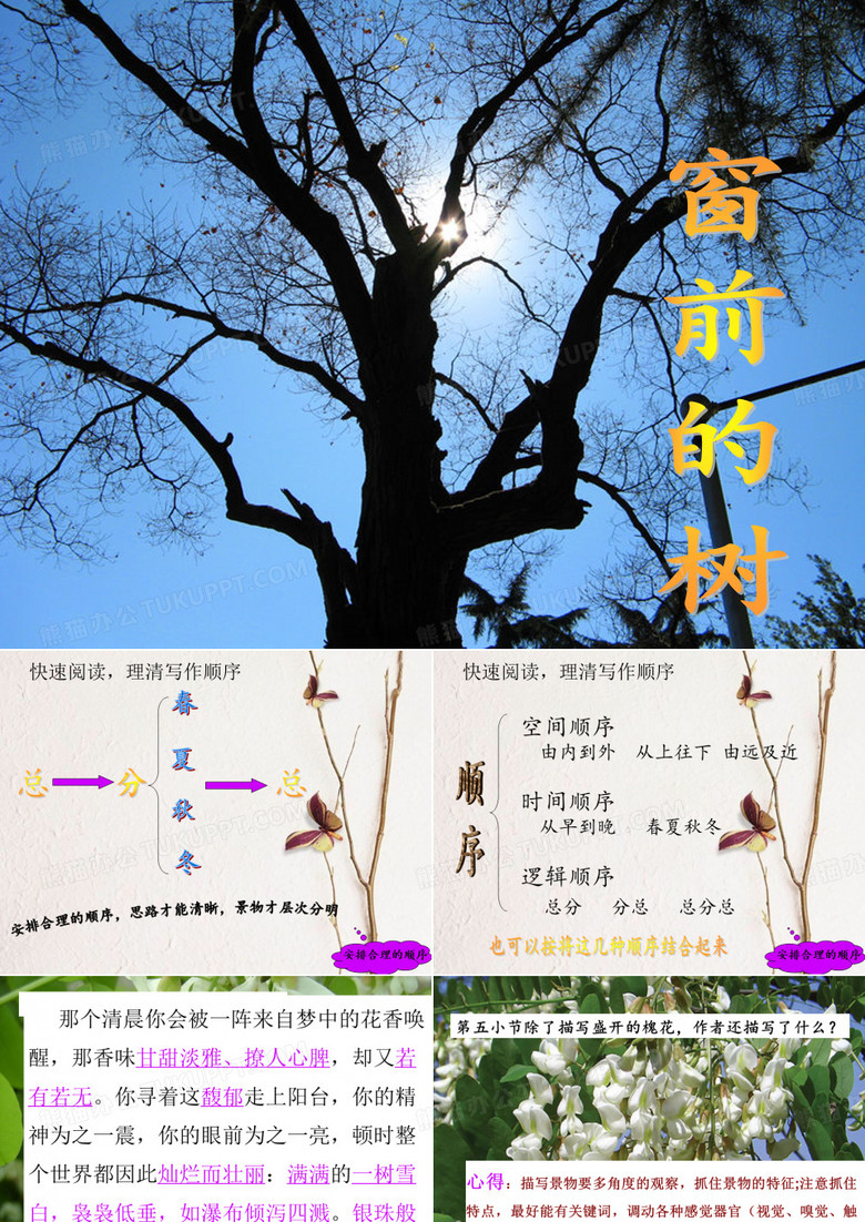 窗前的树