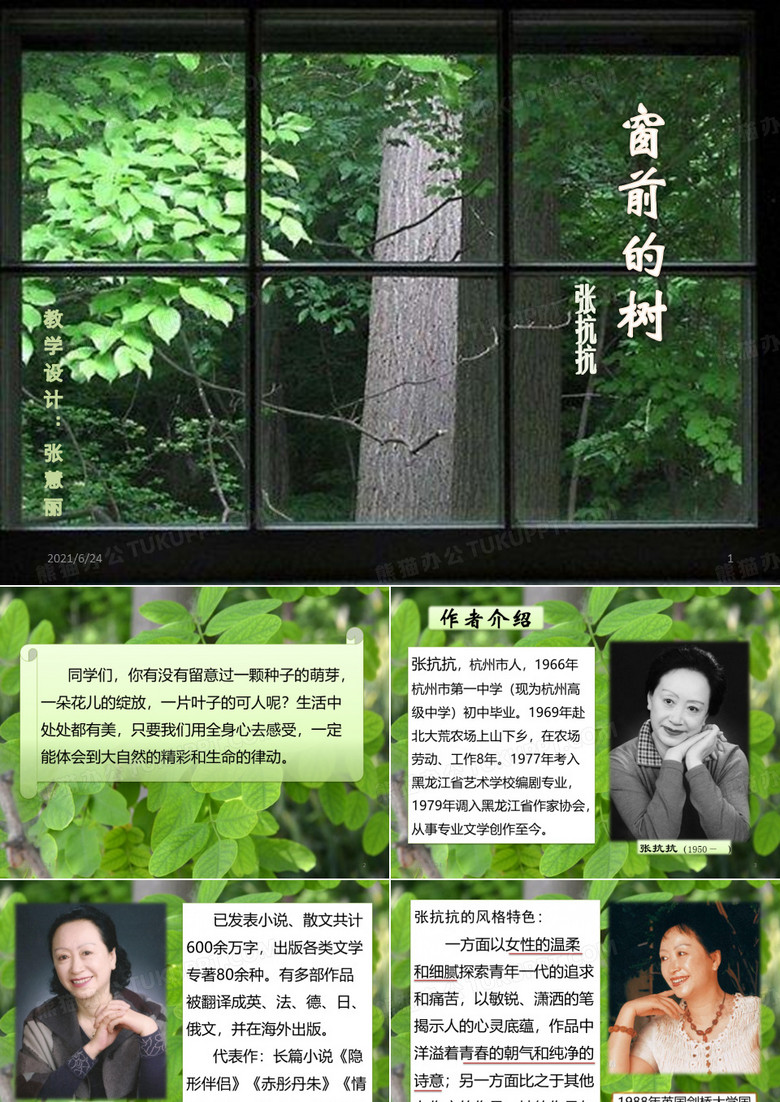 窗前的树ppt