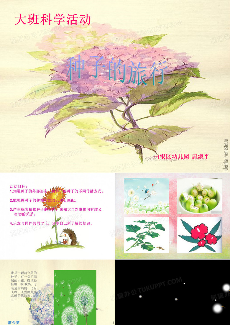 大班科学活动种子的旅行