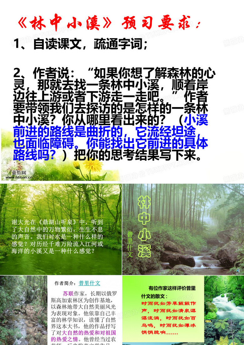 林中小溪